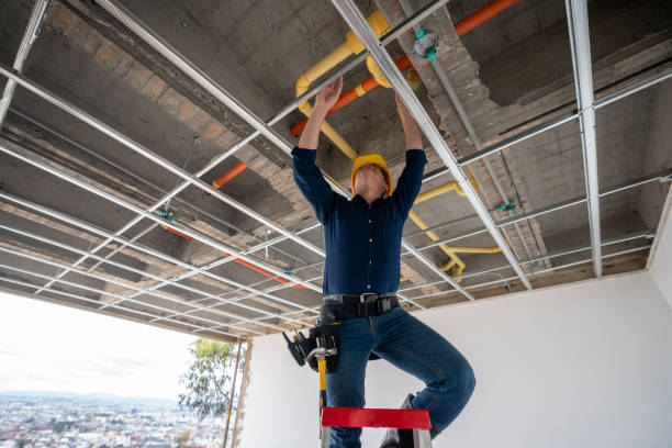 Best Local Plumber Services  in Galesburg, MI