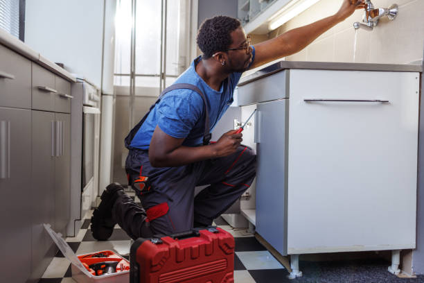 Best Clogged Drain Plumber  in Galesburg, MI